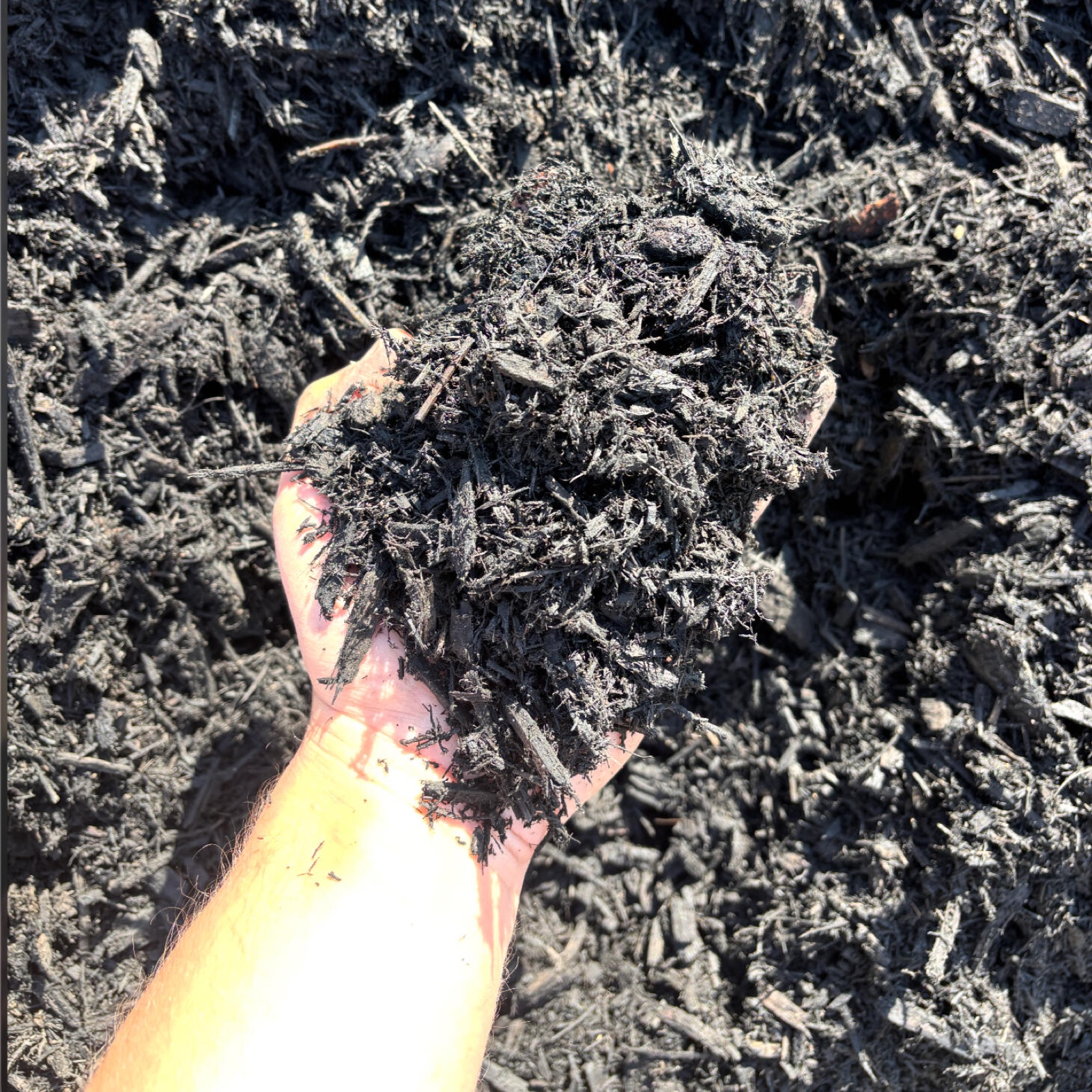 Black mulch in hand