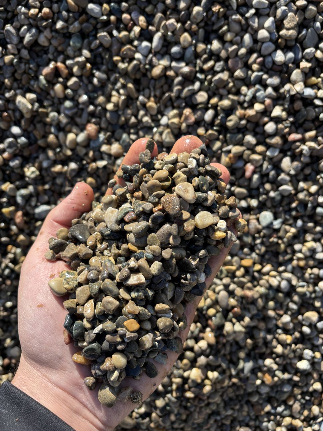 Pea stone in hand